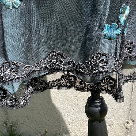 NWT Adriana Papell lace embroidered net sheer dress- gown- Size 10 - Picture 4 of 17